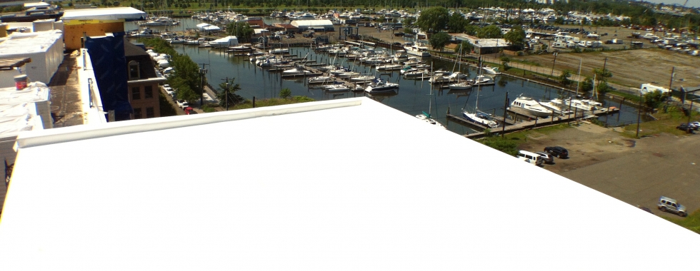 white roof bay
